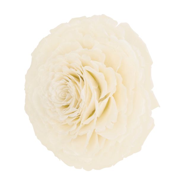 DE-PEIXE-ROSA-ADORNO-20-CM-BRANCO-FIBRA-CLARA-ESCAMA-DE-PEIXE_ST1