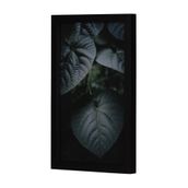 VERDE-QUADRO-20-CM-X-30-CM-PRETO-MULTICOR-CORA-O-VERDE_ST1