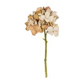 HORTENSIA-BOUQUET-CREAM-VERDE-TEVERE_ST0