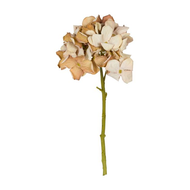 HORTENSIA-BOUQUET-CREAM-VERDE-TEVERE_ST0