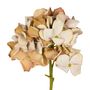 HORTENSIA-BOUQUET-CREAM-VERDE-TEVERE_ST1