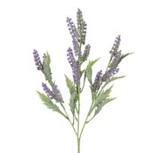 LAVANDA-FLOR-MALVA-VERDE-GIVERNY_ST1