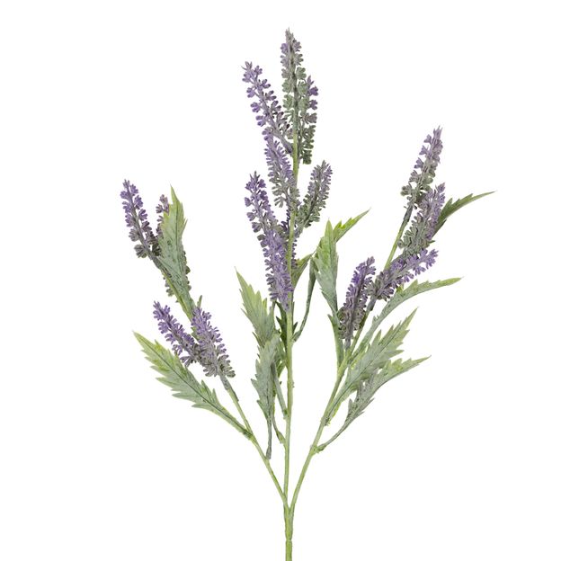 LAVANDA-FLOR-MALVA-VERDE-GIVERNY_ST1