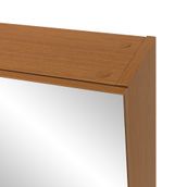 ARMARIO-C-ESPELHO-1-PORTA-58-CM-X-72-CM-FREIJ-PRATA-HIDRIX_ST5