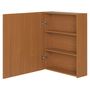 ARMARIO-C-ESPELHO-1-PORTA-58-CM-X-72-CM-FREIJ-PRATA-HIDRIX_ST4