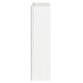 ARMARIO-C-ESPELHO-1-PORTA-58-CM-X-72-CM-BRANCO-PRATA-HIDRIX_ST3