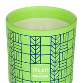 VELA-PERFUMADA-POTE-PAU-ROSA-VERDE-AZUL-TIGA-TI_ST3