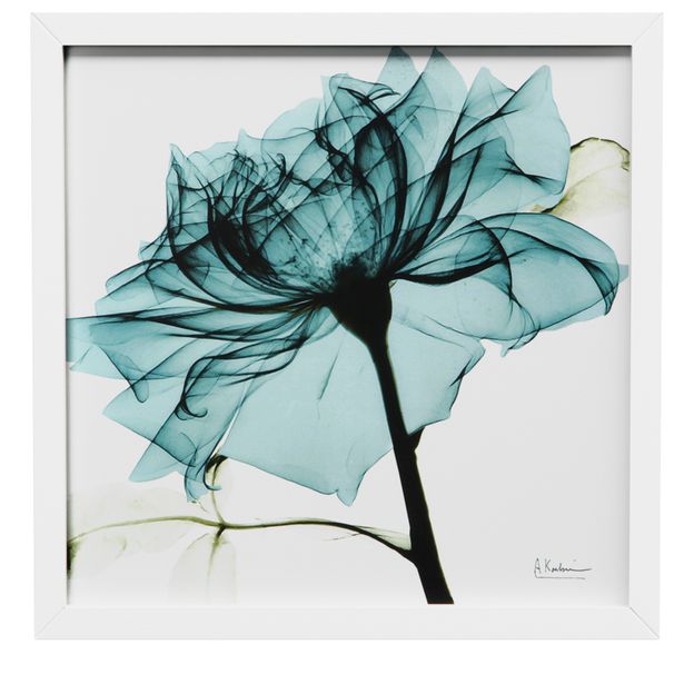 RAIO-X-I-QUADRO-30-CM-X-30-CM-BRANCO-TURMALINA-FLORES-RAIO-X_ST0