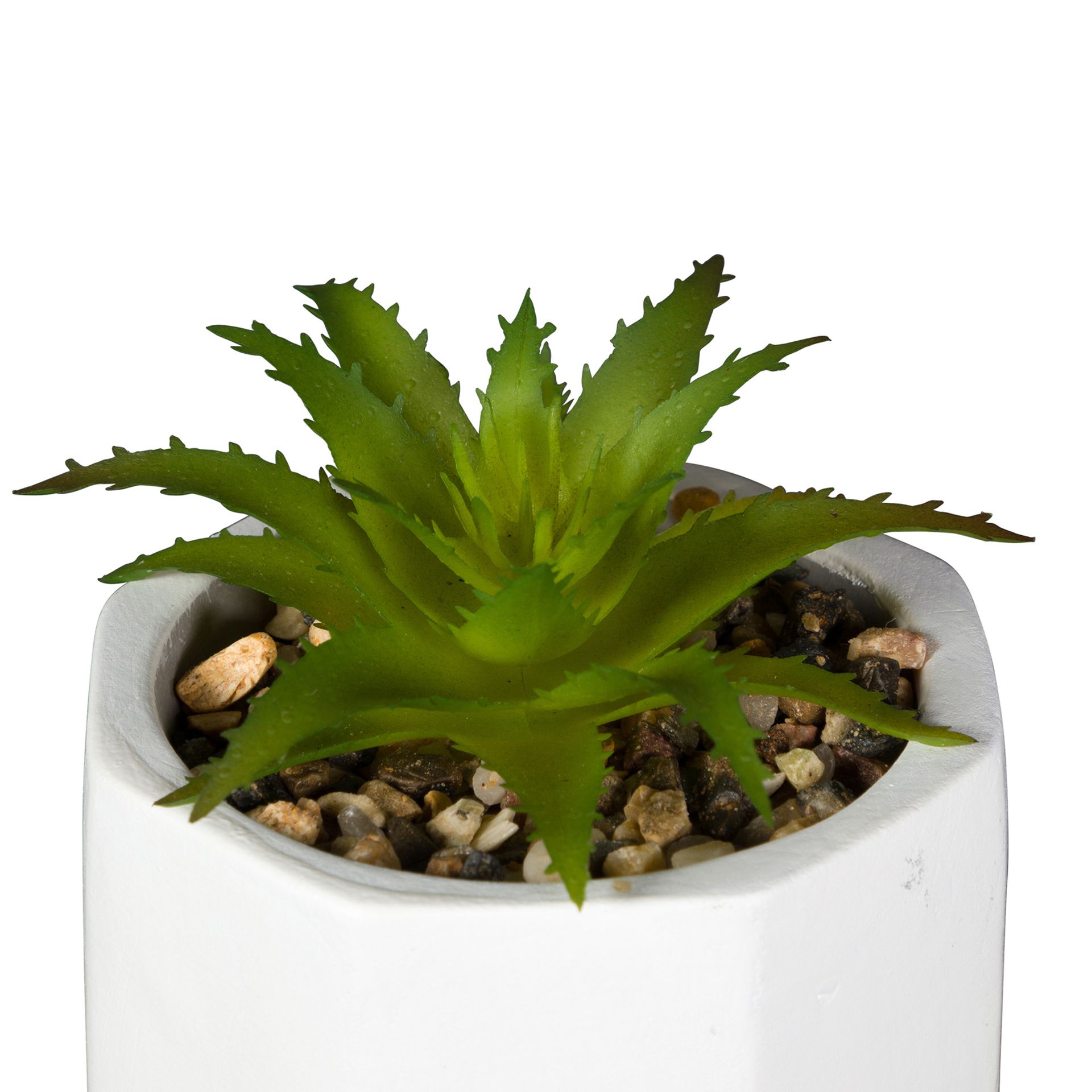 MINI-SUCULENTA-ARRANJO-BRANCO-VERDE-KALANCHOE_ST1