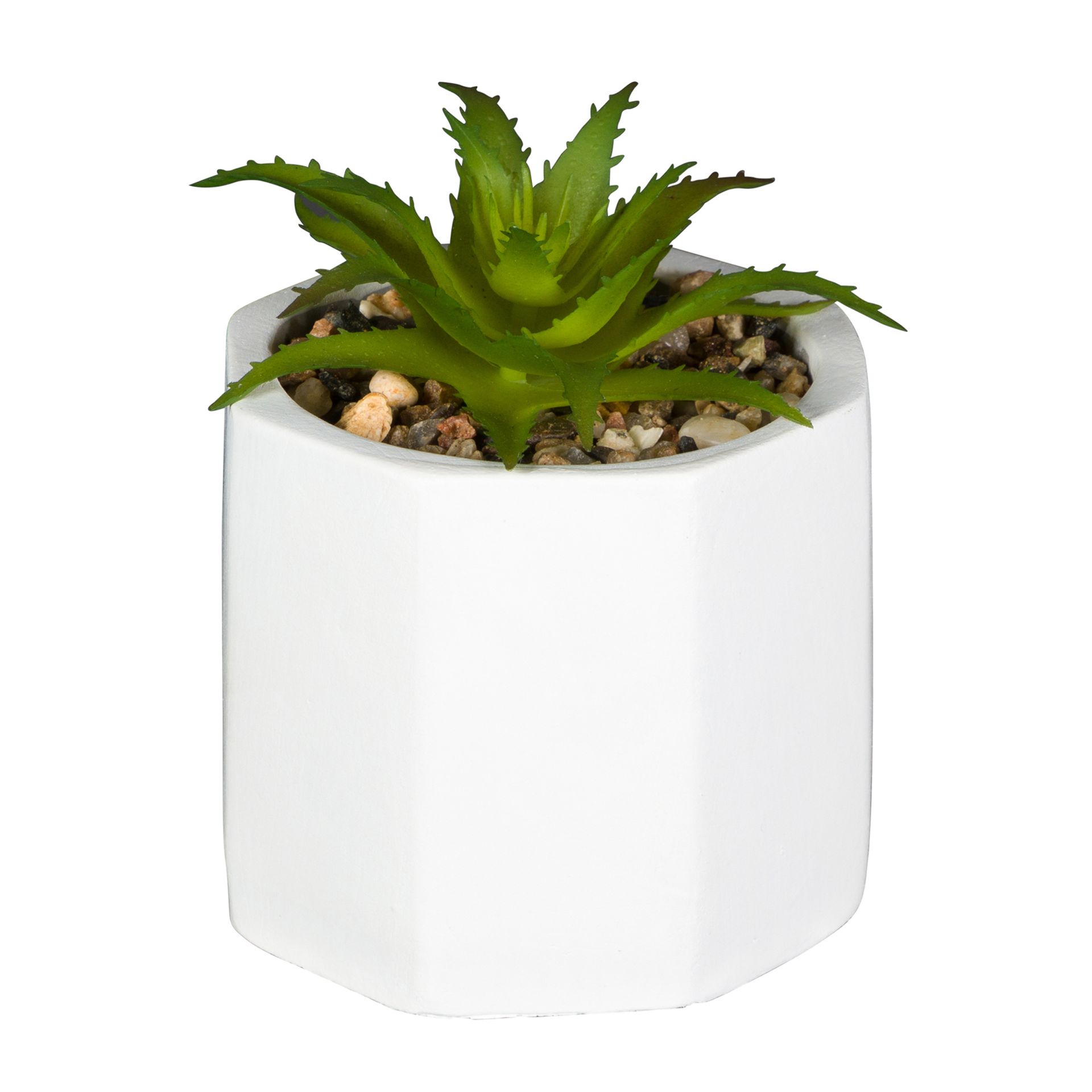 MINI-SUCULENTA-ARRANJO-BRANCO-VERDE-KALANCHOE_ST0