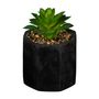 SUCULENTA-ARRANJO-PRETO-VERDE-KALANCHOE_ST0