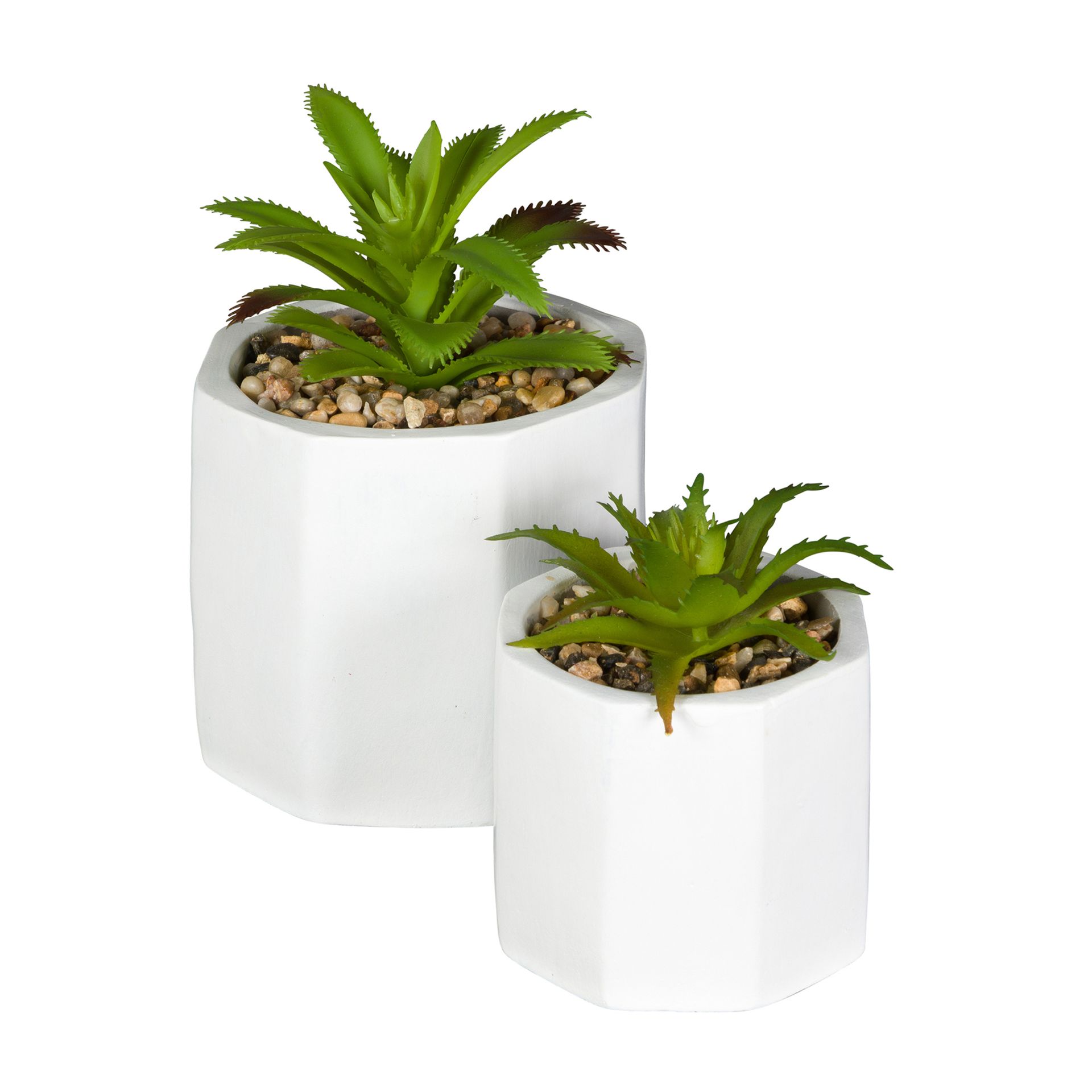 SUCULENTA-ARRANJO-BRANCO-VERDE-KALANCHOE_ST2