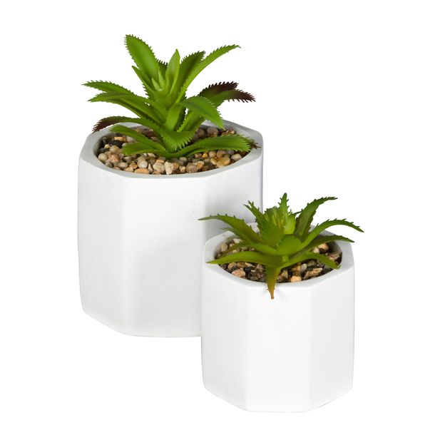 SUCULENTA-ARRANJO-BRANCO-VERDE-KALANCHOE_ST2