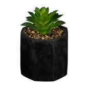 SUCULENTA-ARRANJO-PRETO-VERDE-KALANCHOE_ST0