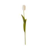 TULIPA-FLOR-BRANCO-VERDE-MIA_ST1