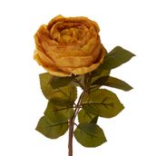 ROSA-OUTONAL-FLOR-MOSTARDA-VERDE-OLIVIER_ST0