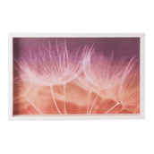 QUADRO-50-CM-X-32-CM-BRANCO-MULTICOR-TUILERIES_ST0