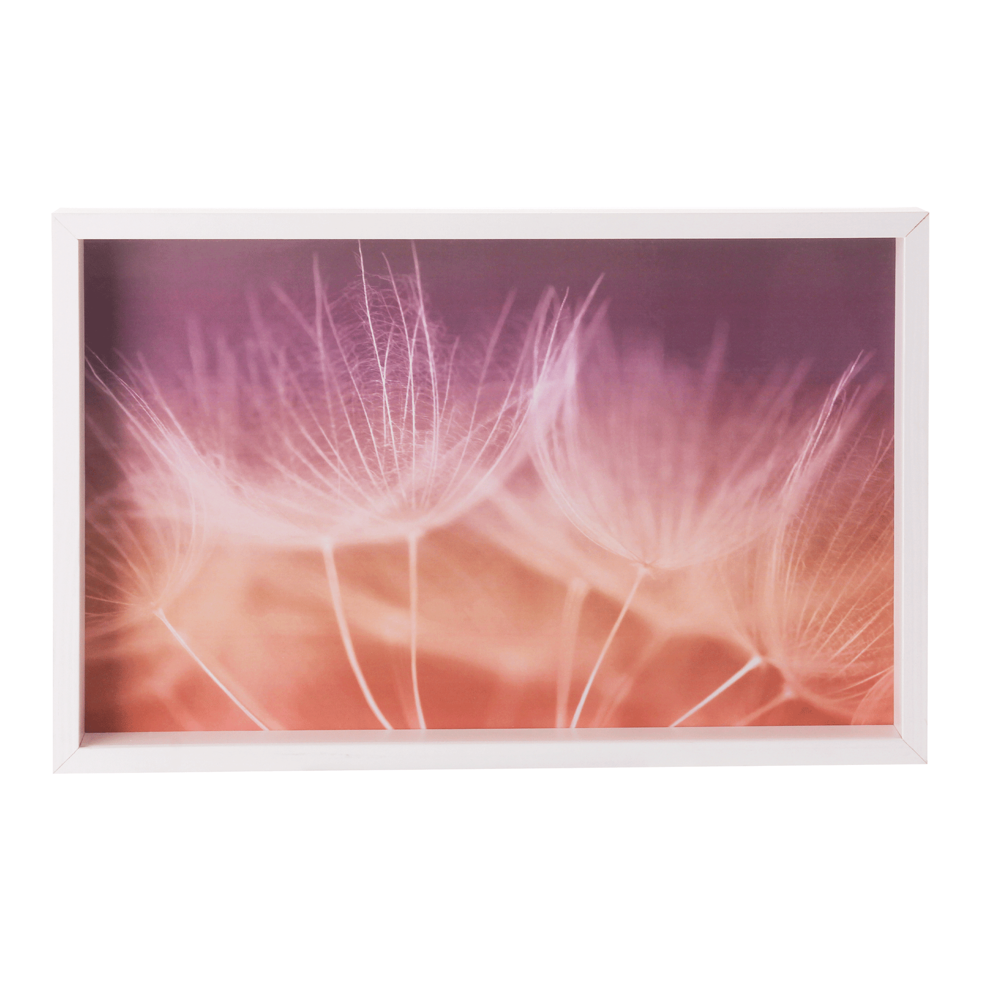 QUADRO-50-CM-X-32-CM-BRANCO-MULTICOR-TUILERIES_ST0