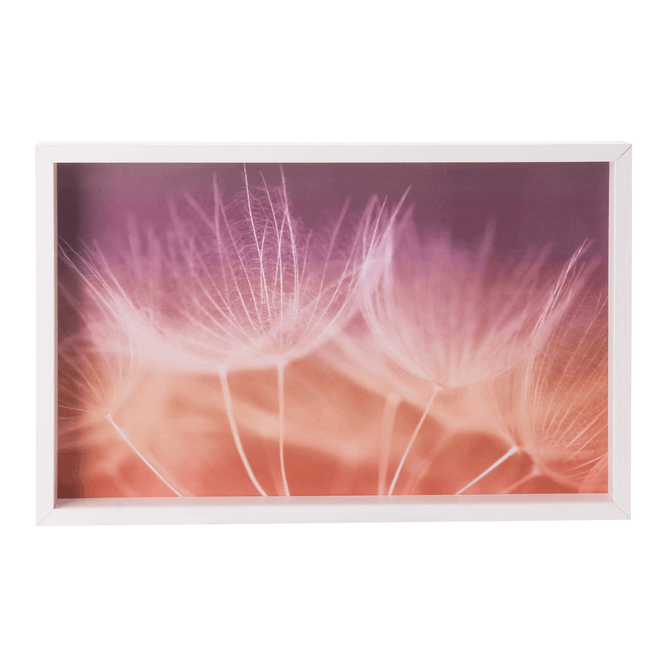 Quadro 50 Cm X 32 Cm Tuileries