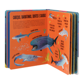 LANTERNA-PROCURE-E-ENCONTRE-TUBAROES-MULTICOR-PROCURE-E-ENCONTRE_ST4