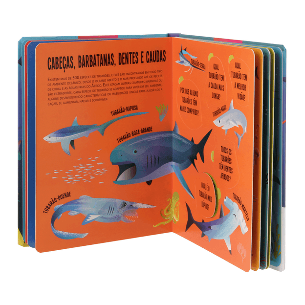 LANTERNA-PROCURE-E-ENCONTRE-TUBAROES-MULTICOR-PROCURE-E-ENCONTRE_ST4