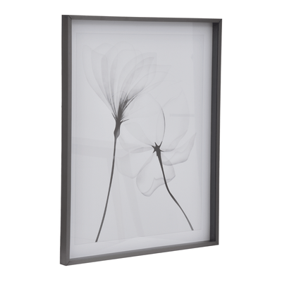 QUADRO 69 CM X 84 CM X-RAY FLOWERS II