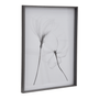 69-CM-X-84-CM-X-RAY-FLOWERS-II-KONKRET-BRANCO-X-RAY_ST0