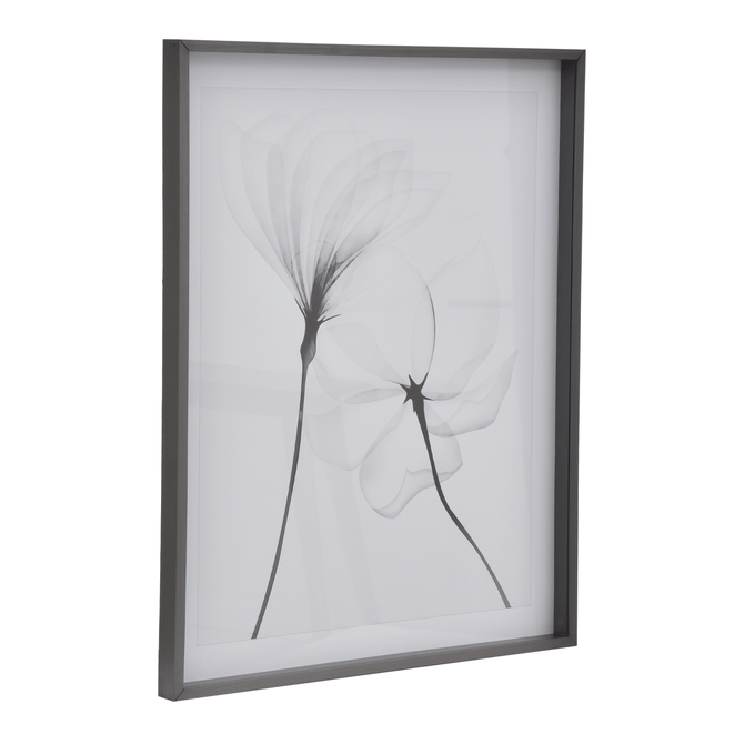 Quadro 69 Cm X 84 Cm X-Ray Flowers Ii