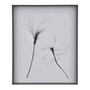 69-CM-X-84-CM-X-RAY-FLOWERS-II-KONKRET-BRANCO-X-RAY_ST1