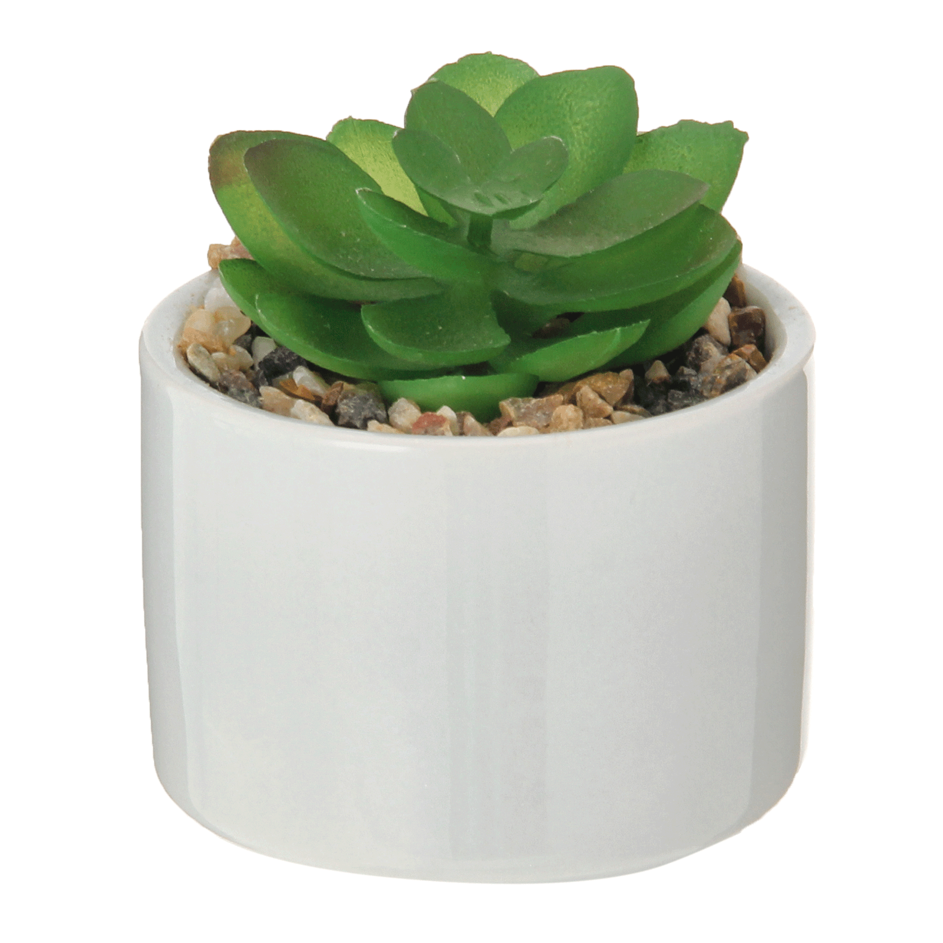 MINI-ARRANJO-SUCULENTA-FLANDRE-BRANCO-COLORIT-_ST1