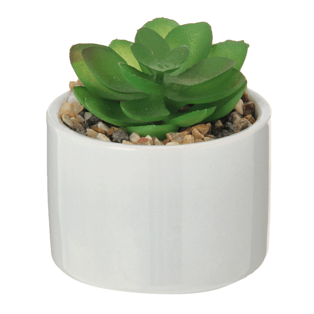 MINI-ARRANJO-SUCULENTA-FLANDRE-BRANCO-COLORIT-_ST1
