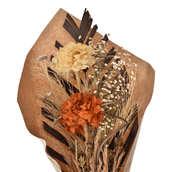 POESIA-MULTICOR-POESIA_ST1