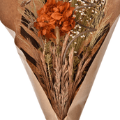 POESIA-MULTICOR-POESIA_ST2