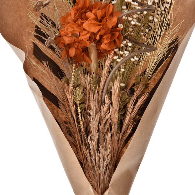 POESIA-MULTICOR-POESIA_ST2