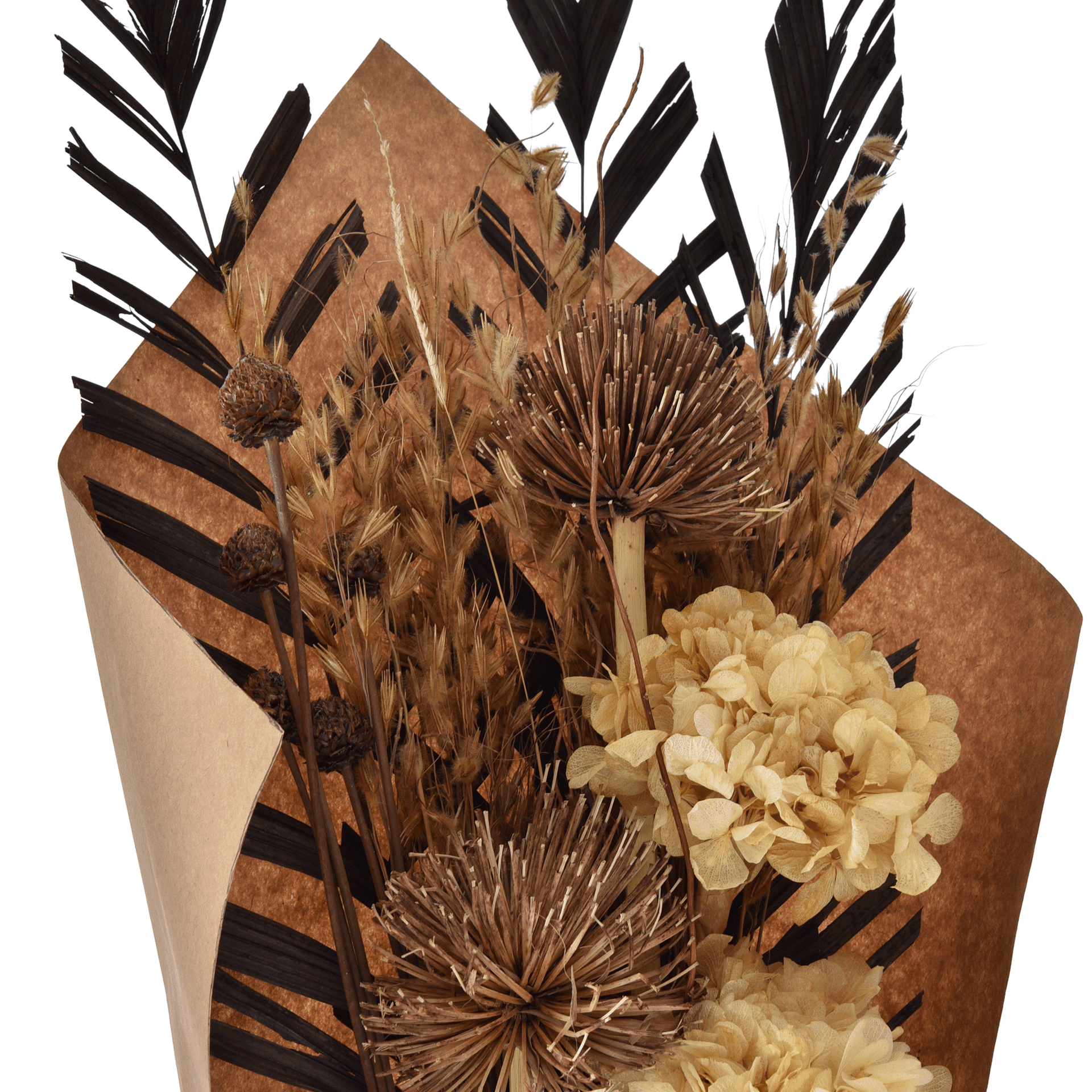 ESMERO-MULTICOR-ESMERO_ST1