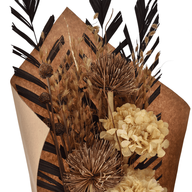 ESMERO-MULTICOR-ESMERO_ST1