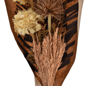 ESMERO-MULTICOR-ESMERO_ST2