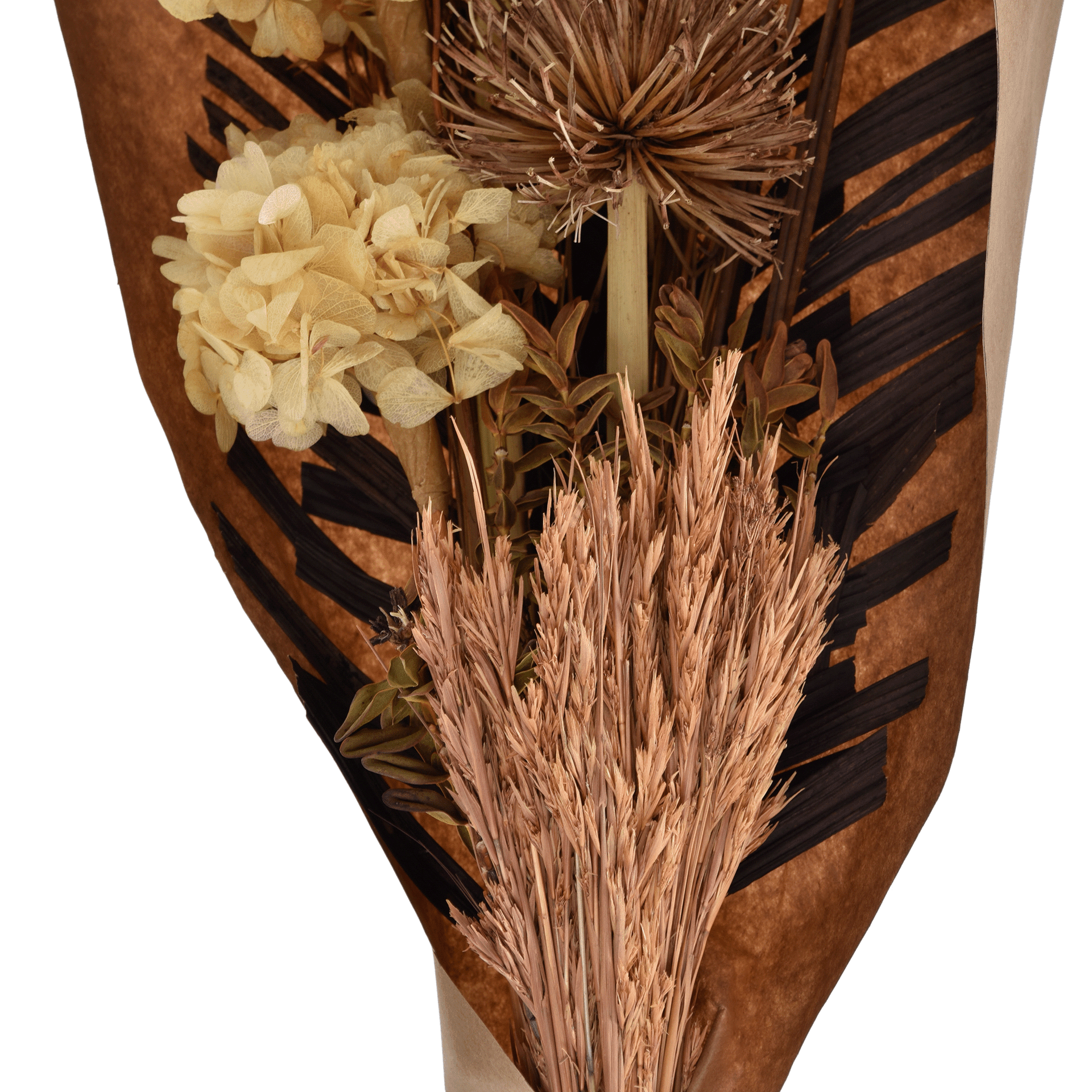 ESMERO-MULTICOR-ESMERO_ST2