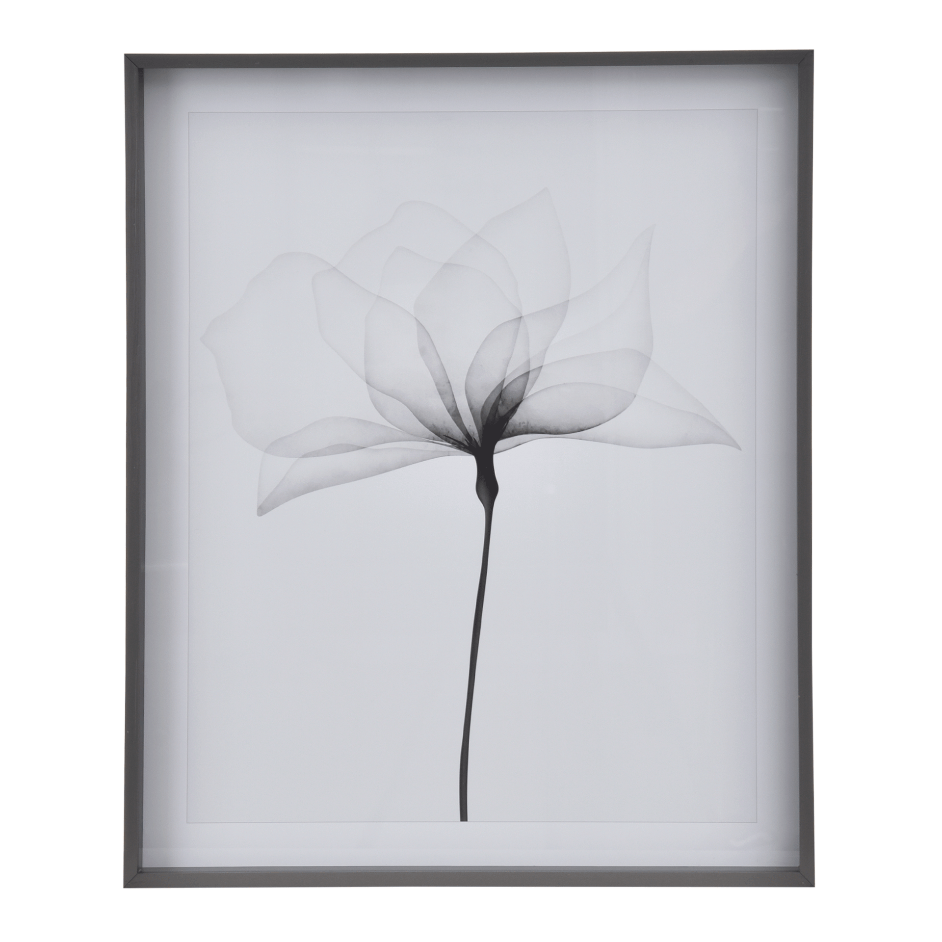 69-CM-X-84-CM-X-RAY-FLOWERS-I-KONKRET-BRANCO-X-RAY_ST0