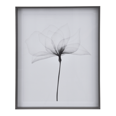 QUADRO 69 CM X 84 CM X-RAY FLOWERS I