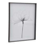 69-CM-X-84-CM-X-RAY-FLOWERS-I-KONKRET-BRANCO-X-RAY_ST1