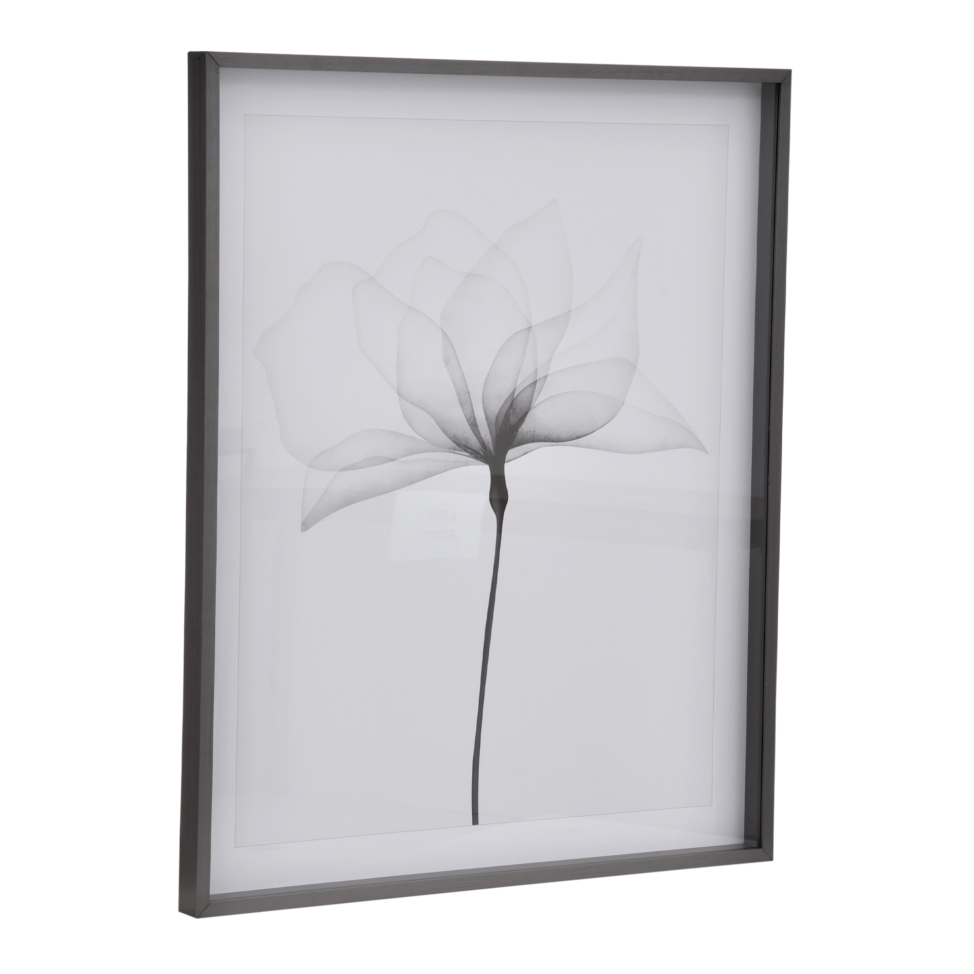 69-CM-X-84-CM-X-RAY-FLOWERS-I-KONKRET-BRANCO-X-RAY_ST1