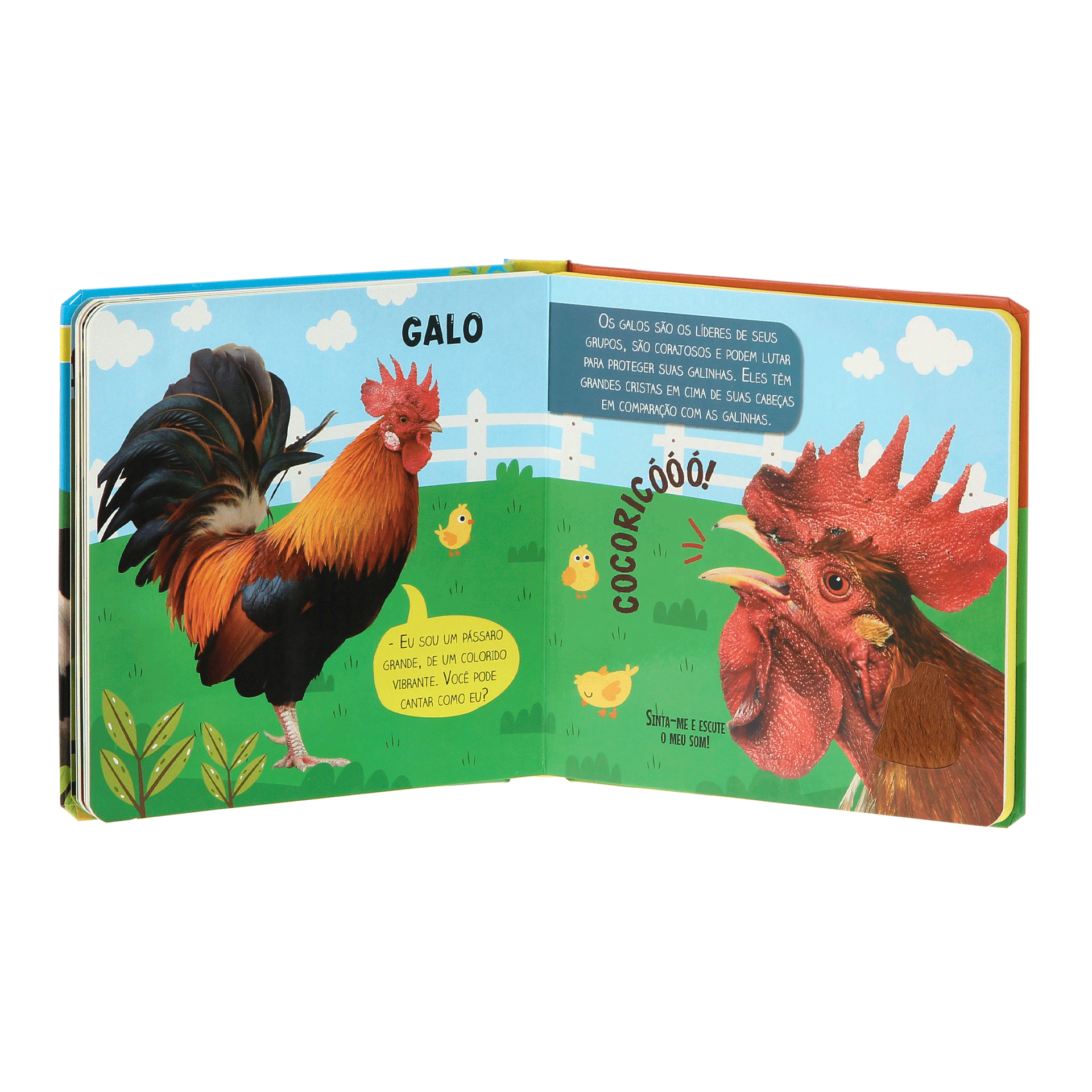 TOQUE-SINTA-E-ESCUTE-FAZENDA-MULTICOR-LIVRO-TOQUE-SINTA-E-ESCUTE-FAZENDA_ST3