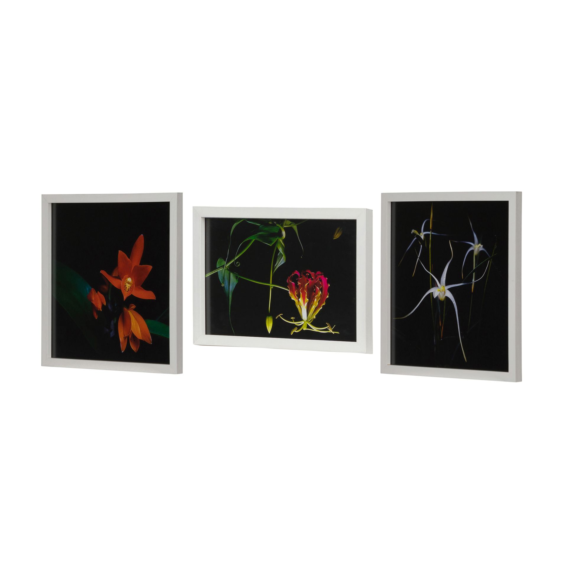 DAVID-HAIBARA-SERIE-II-BRANCO-MULTICOR-_ST1