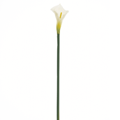 COPO-DE-LEITE-IMPERIO-BRANCO-VERDE-IMP-RIO_ST0