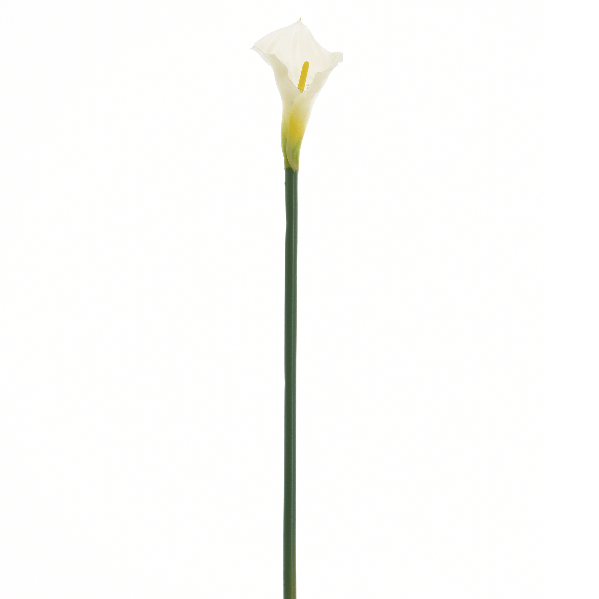 COPO-DE-LEITE-IMPERIO-BRANCO-VERDE-IMP-RIO_ST0