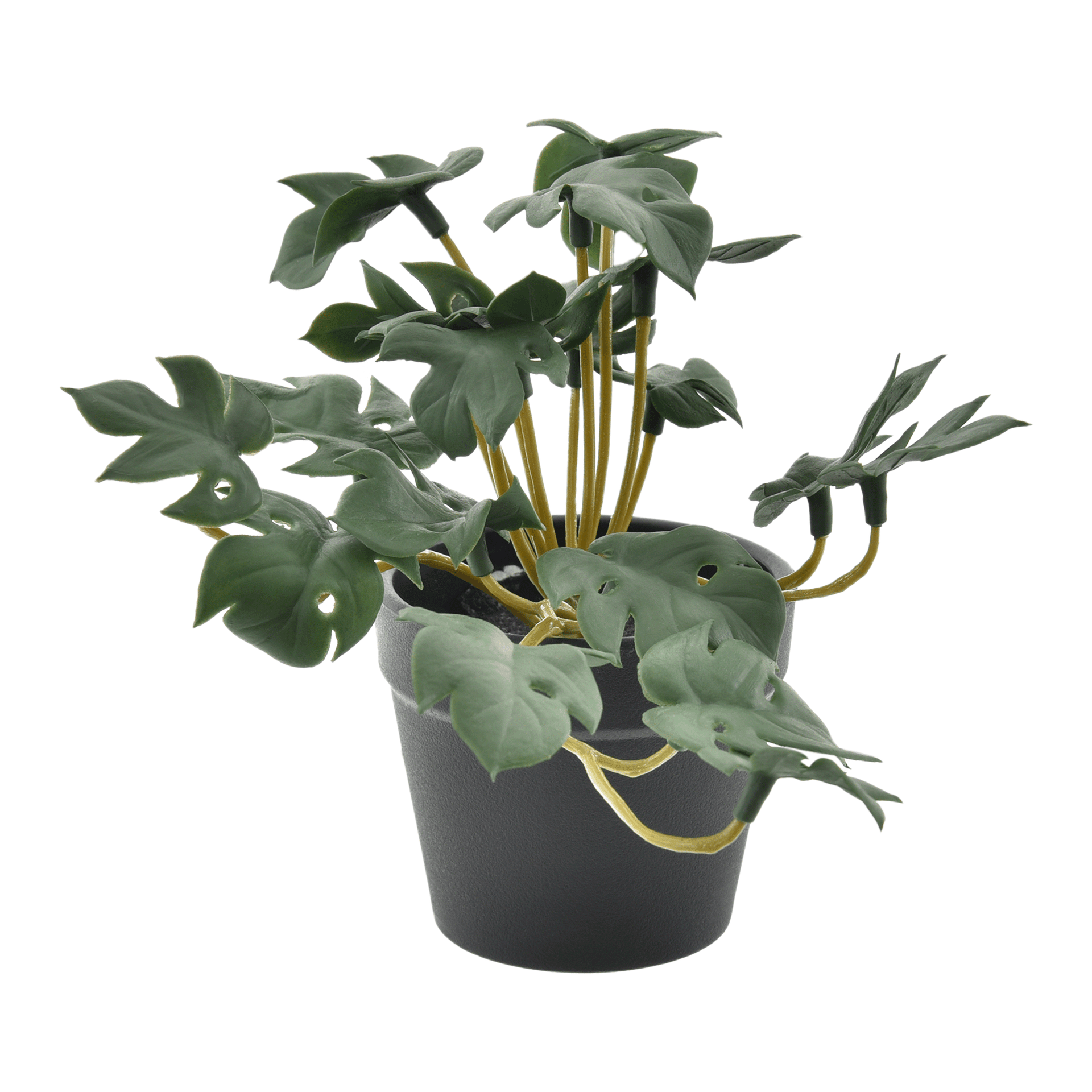 MINI-MONSTERA-VERDE-PRETO-MONSTERA_ST0