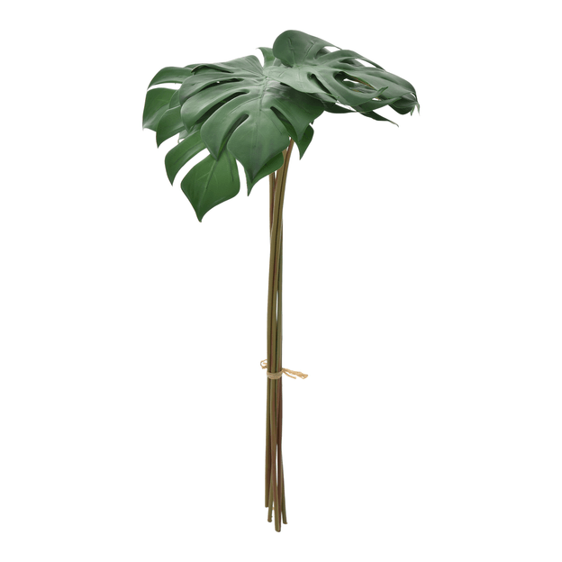 C-6-MONSTERA-VERDE-BRANCO-FOLHAGEM_ST0