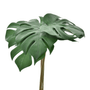 C-6-MONSTERA-VERDE-BRANCO-FOLHAGEM_ST1