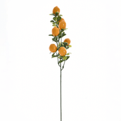 GALHO-FRUTINHAS-LIMAO-AMARELO-VERDE-FRUTINHAS_ST0